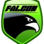 falcon